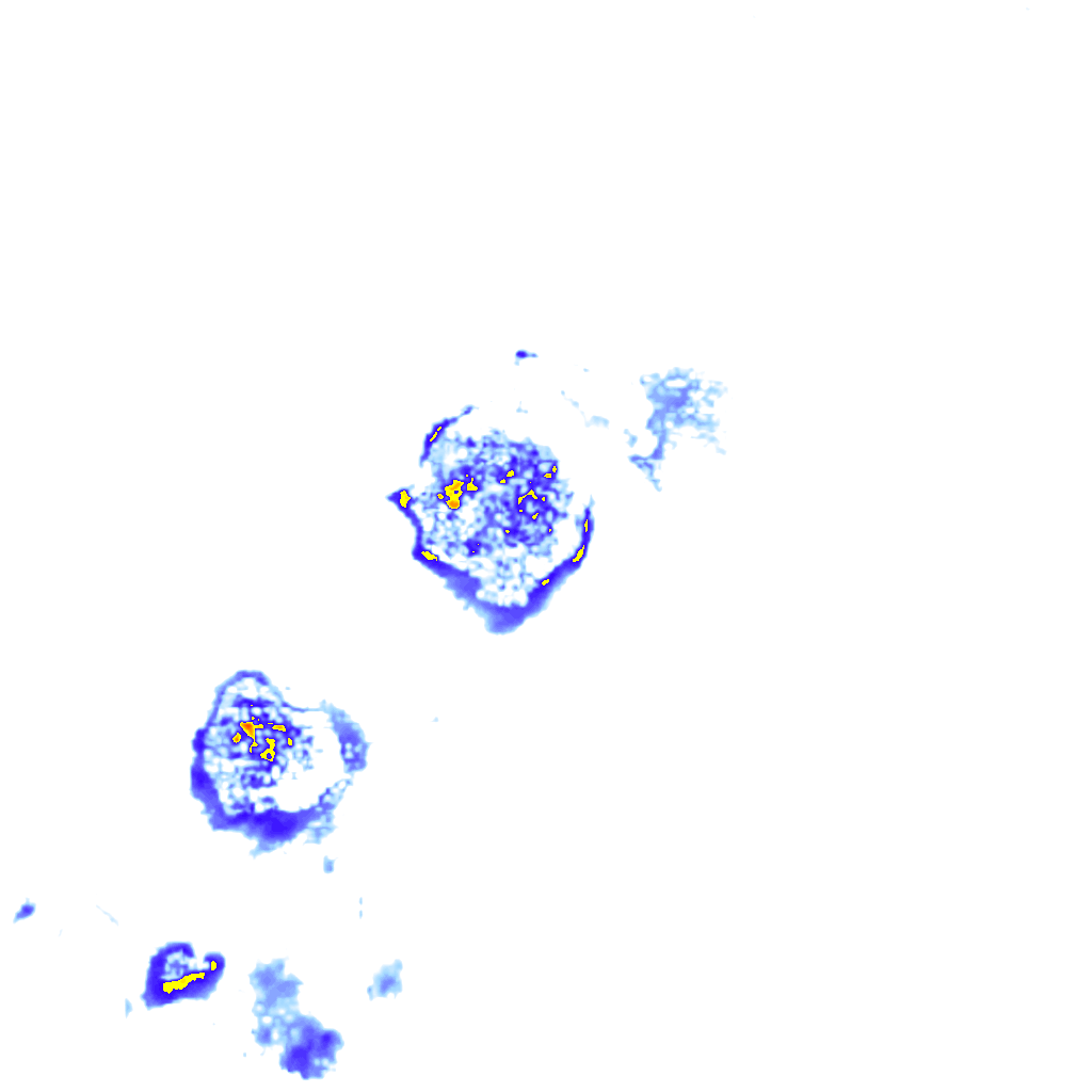 rainLayer