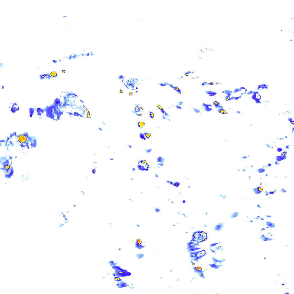 rainLayer