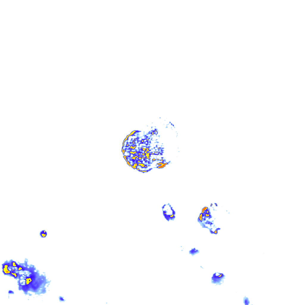 Image Layer