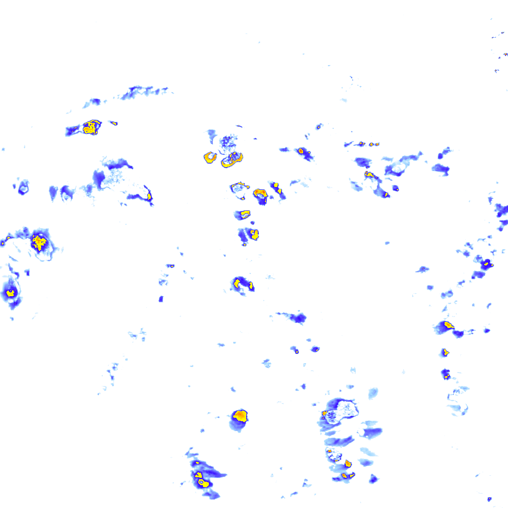 rainLayer
