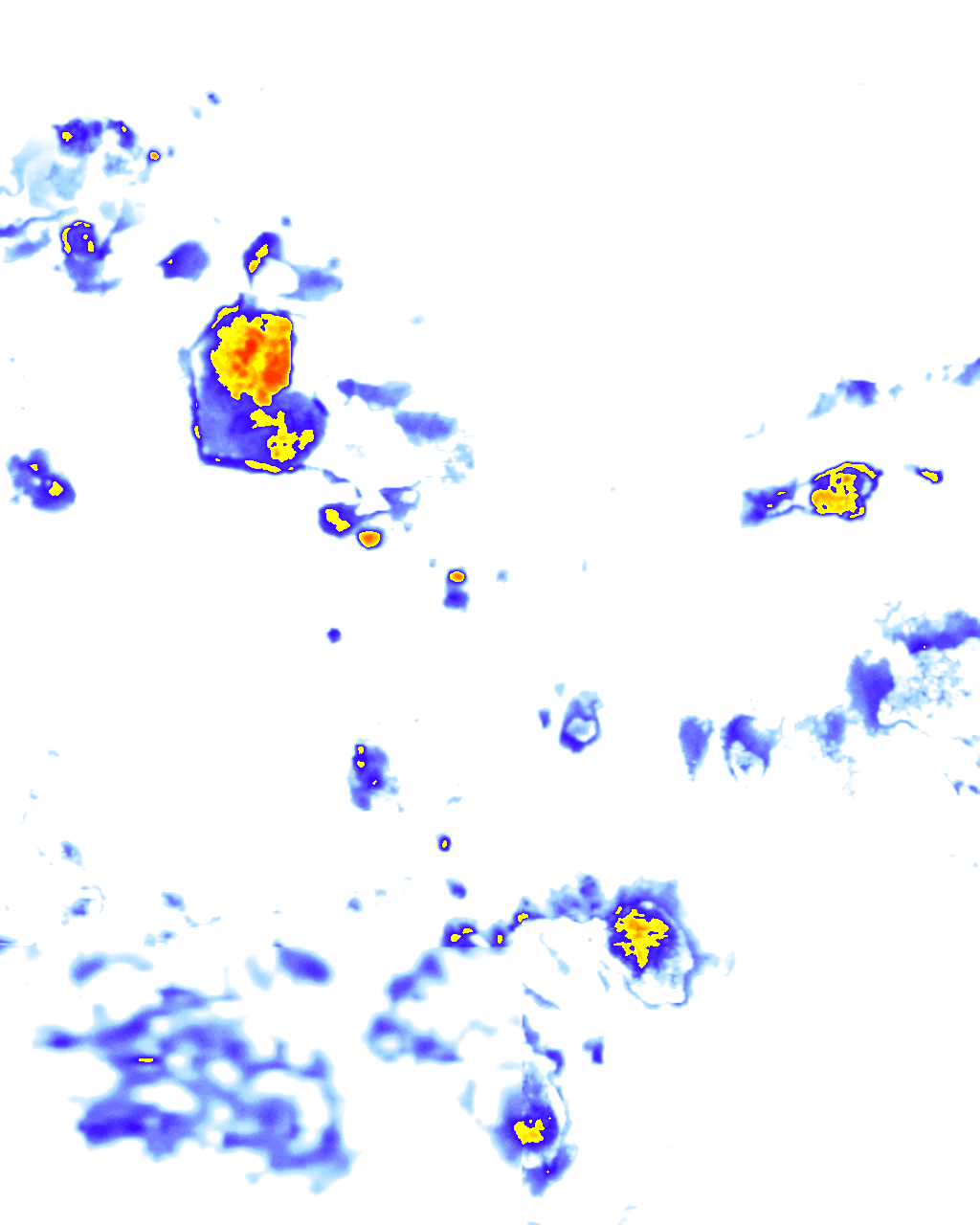 rainLayer
