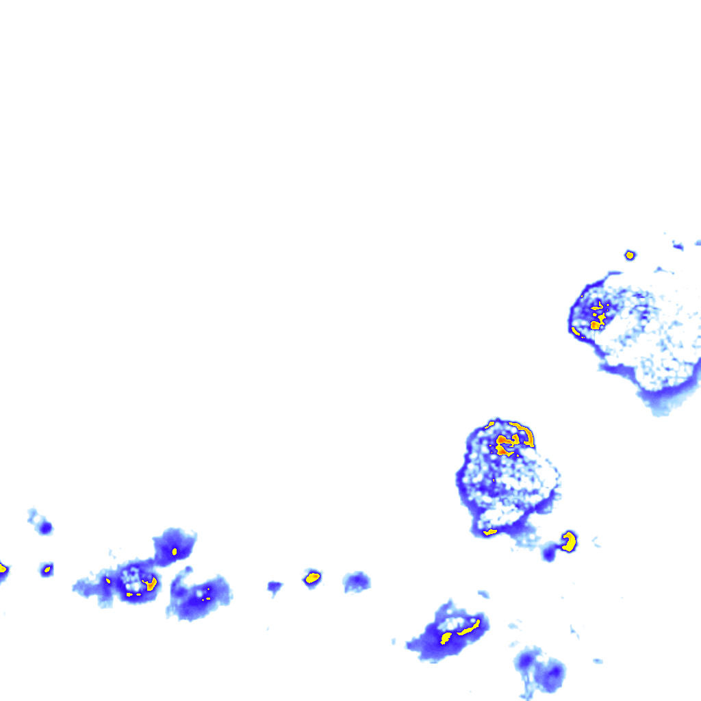 rainLayer