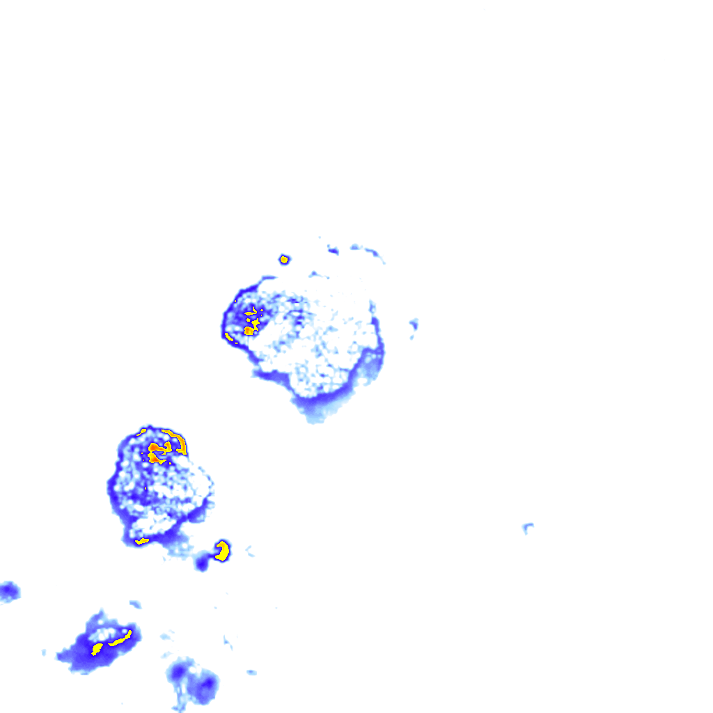 Image Layer
