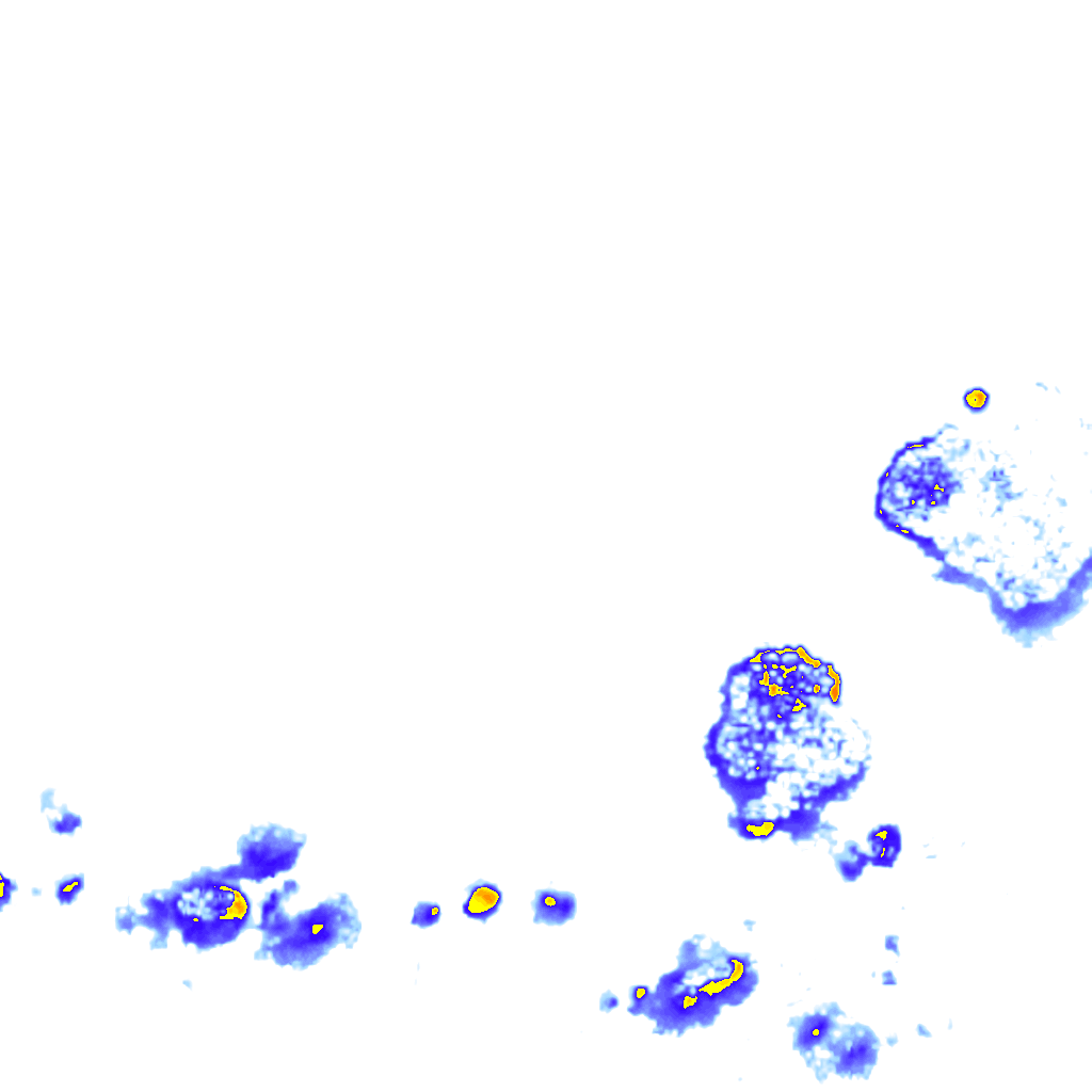 rainLayer