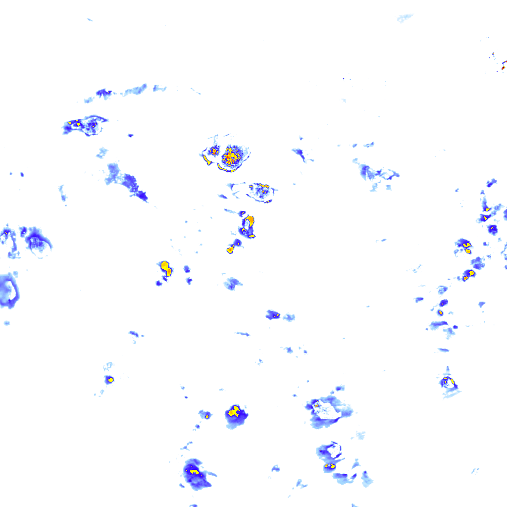 rainLayer