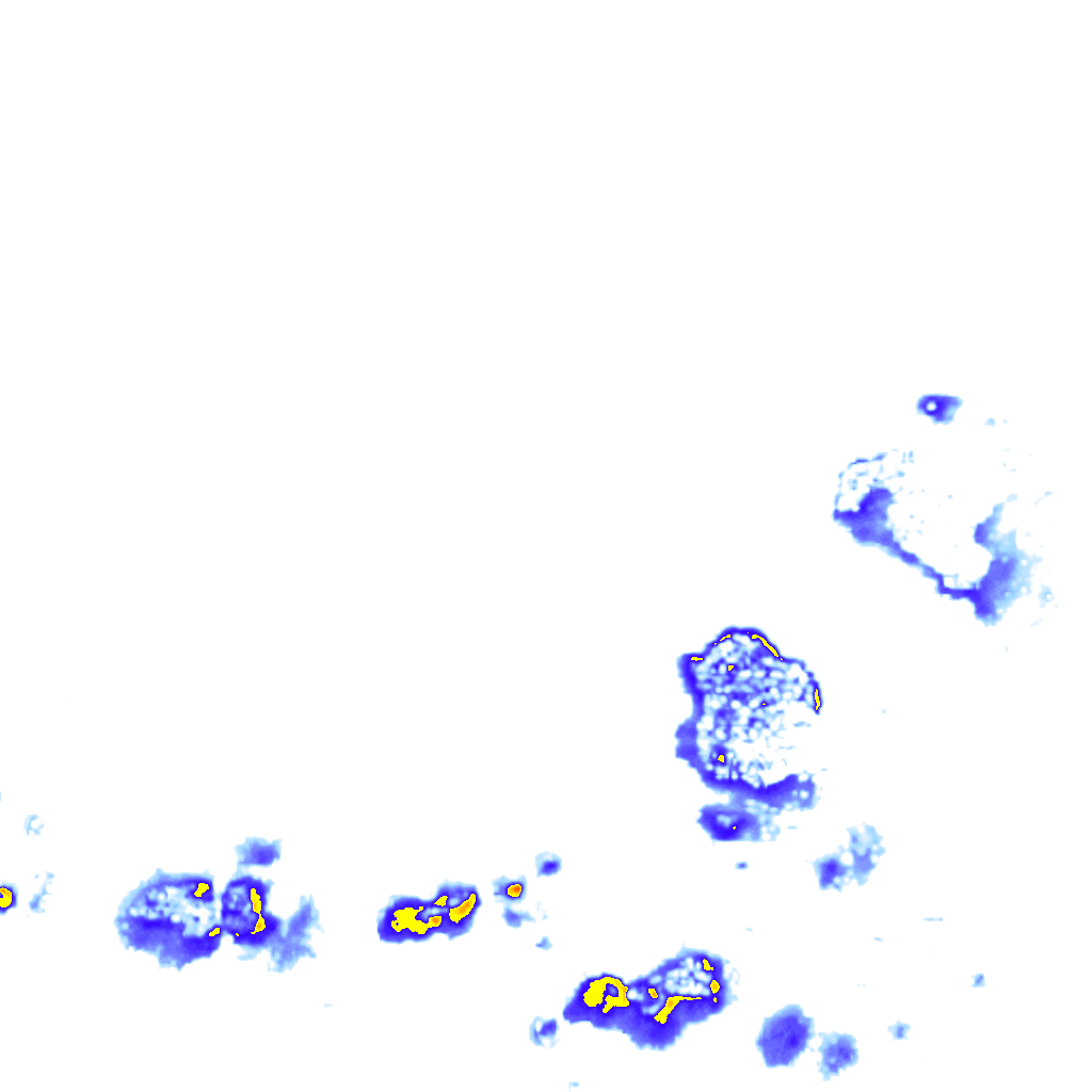 Image Layer