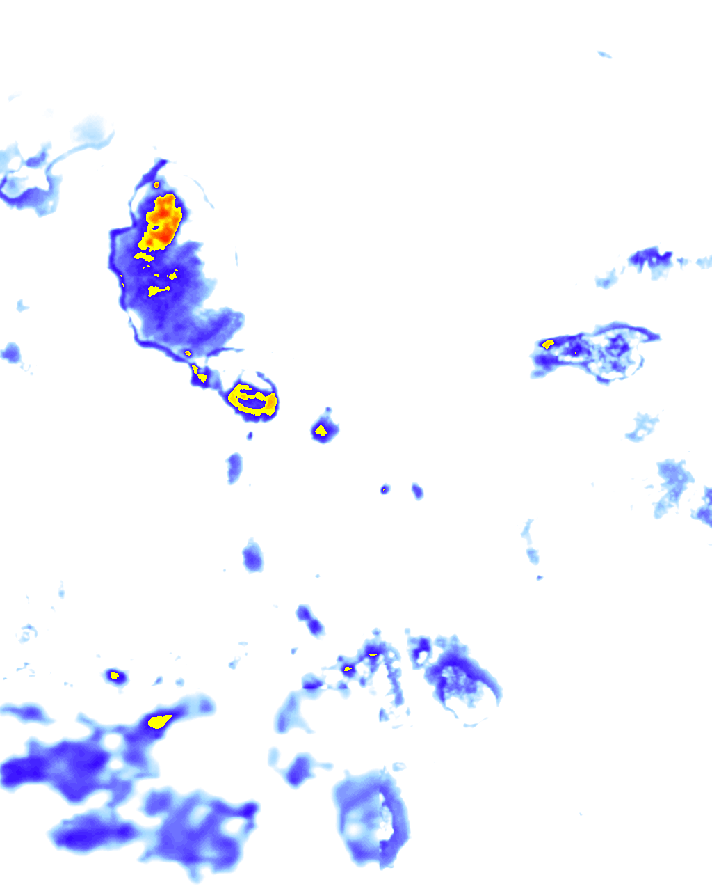 rainLayer