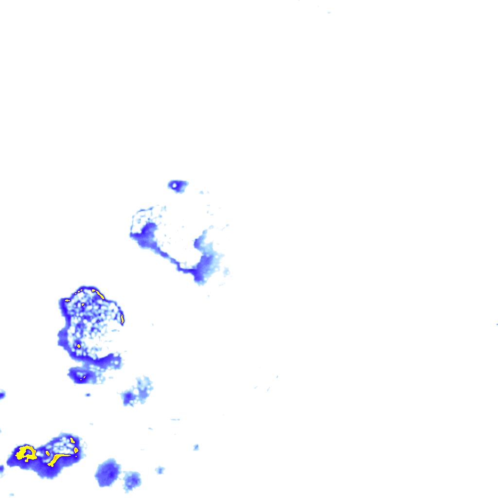 Image Layer