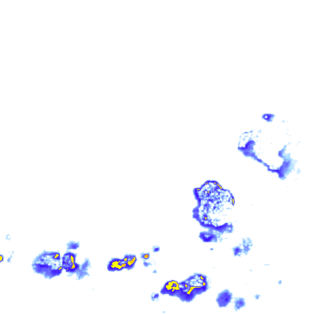 rainLayer