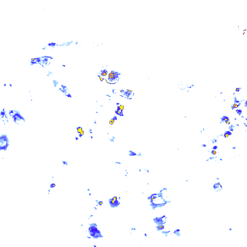 rainLayer
