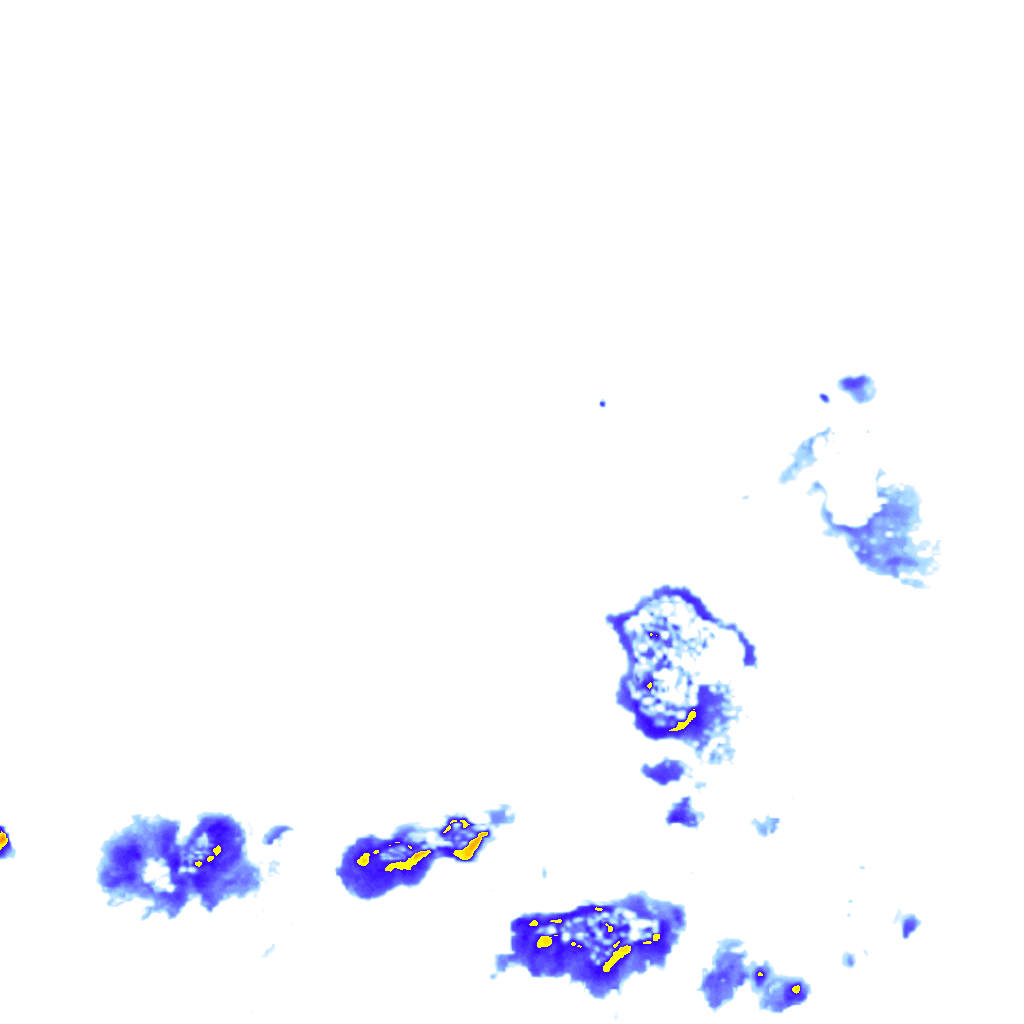rainLayer