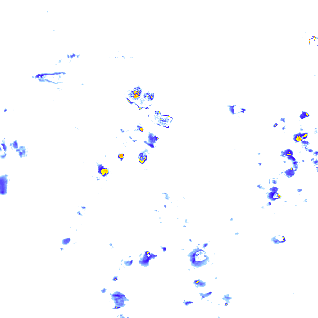 rainLayer