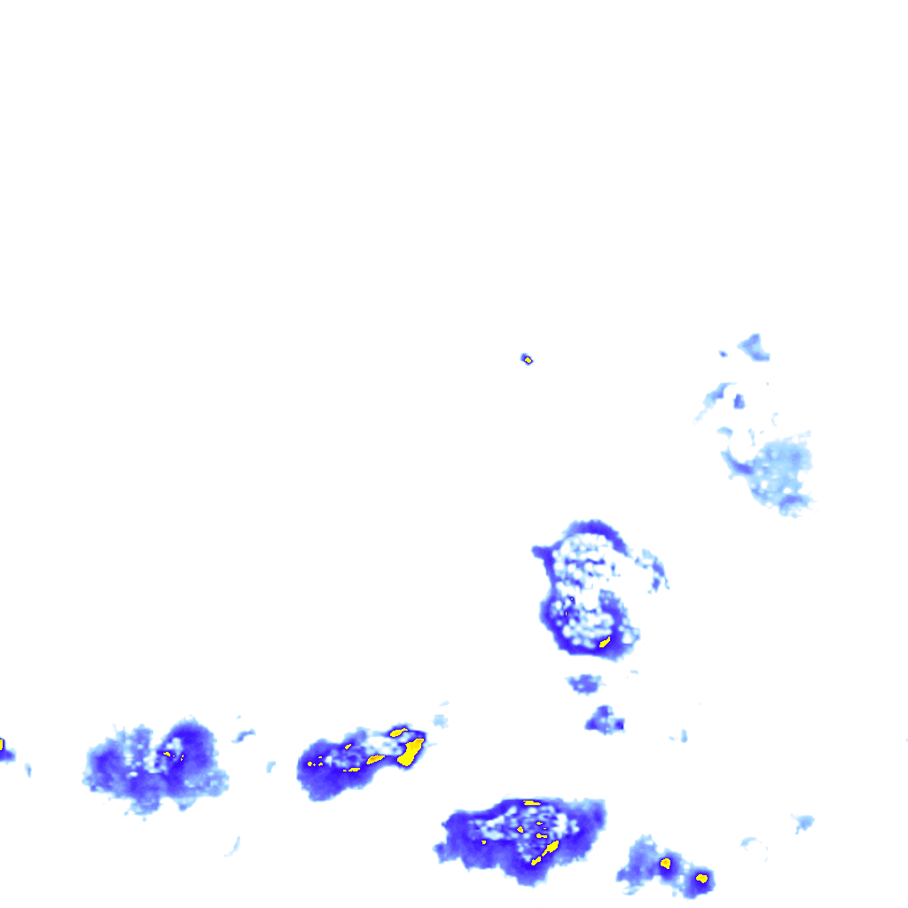 rainLayer