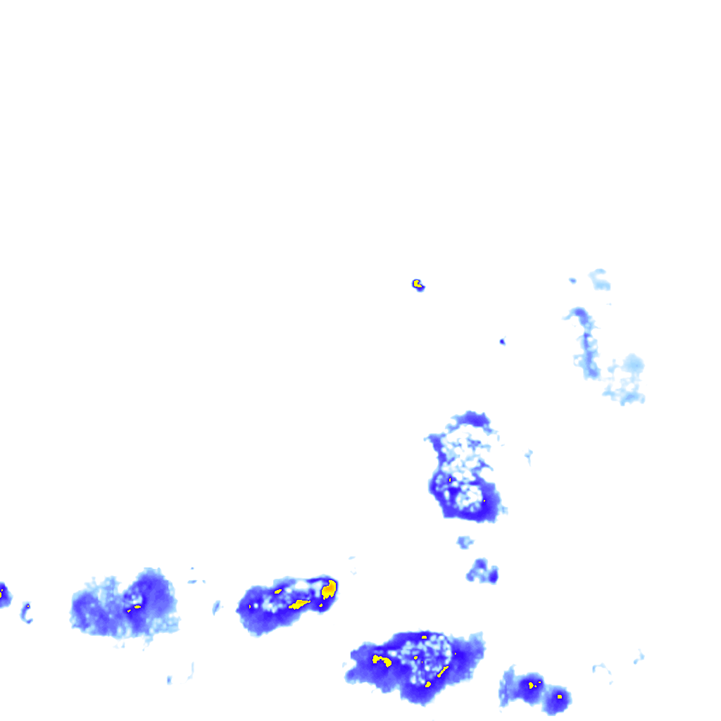 rainLayer