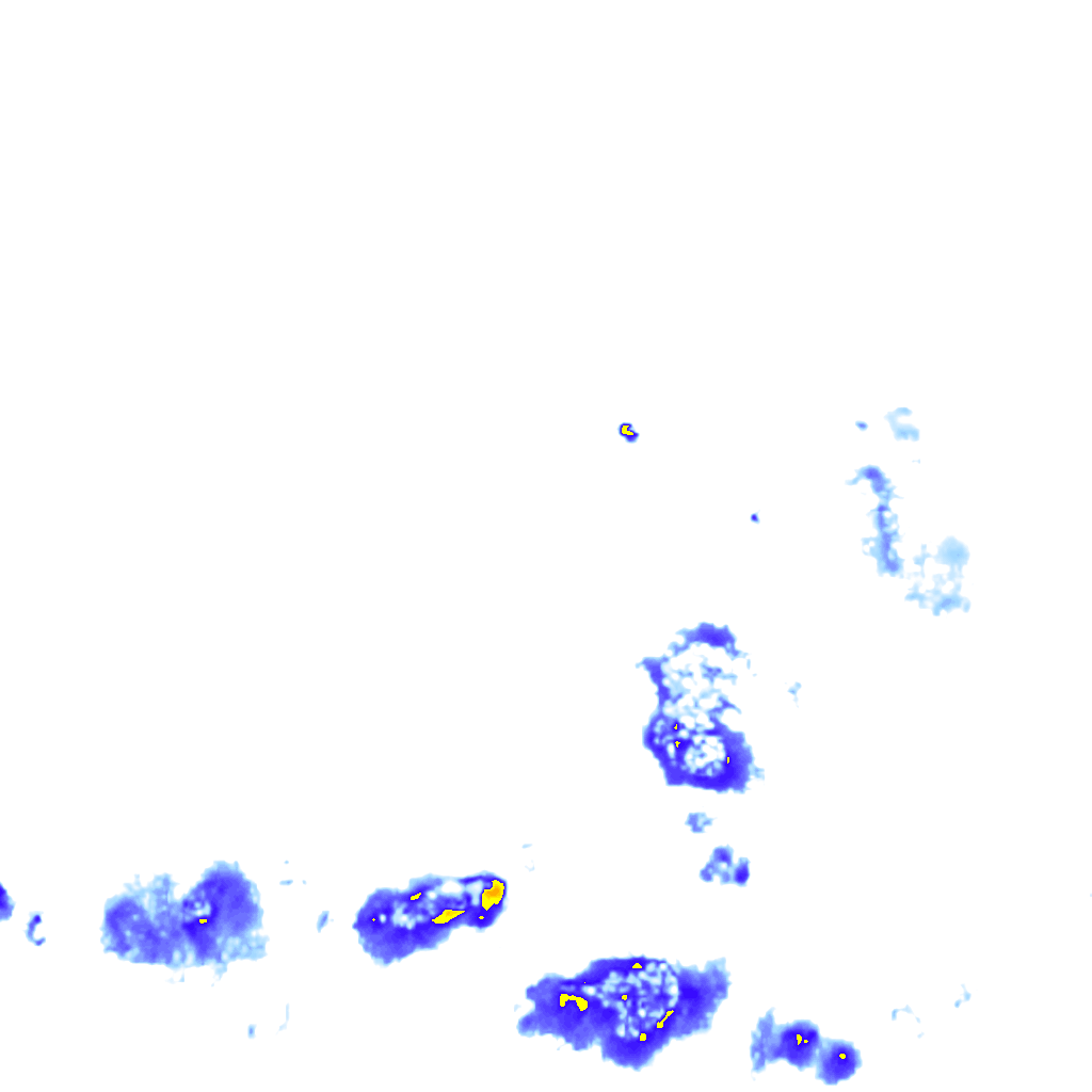 rainLayer