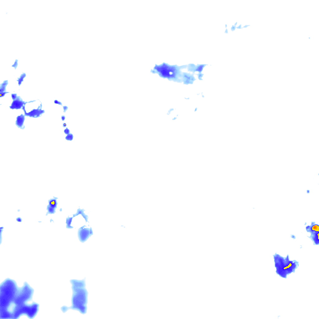 rainLayer