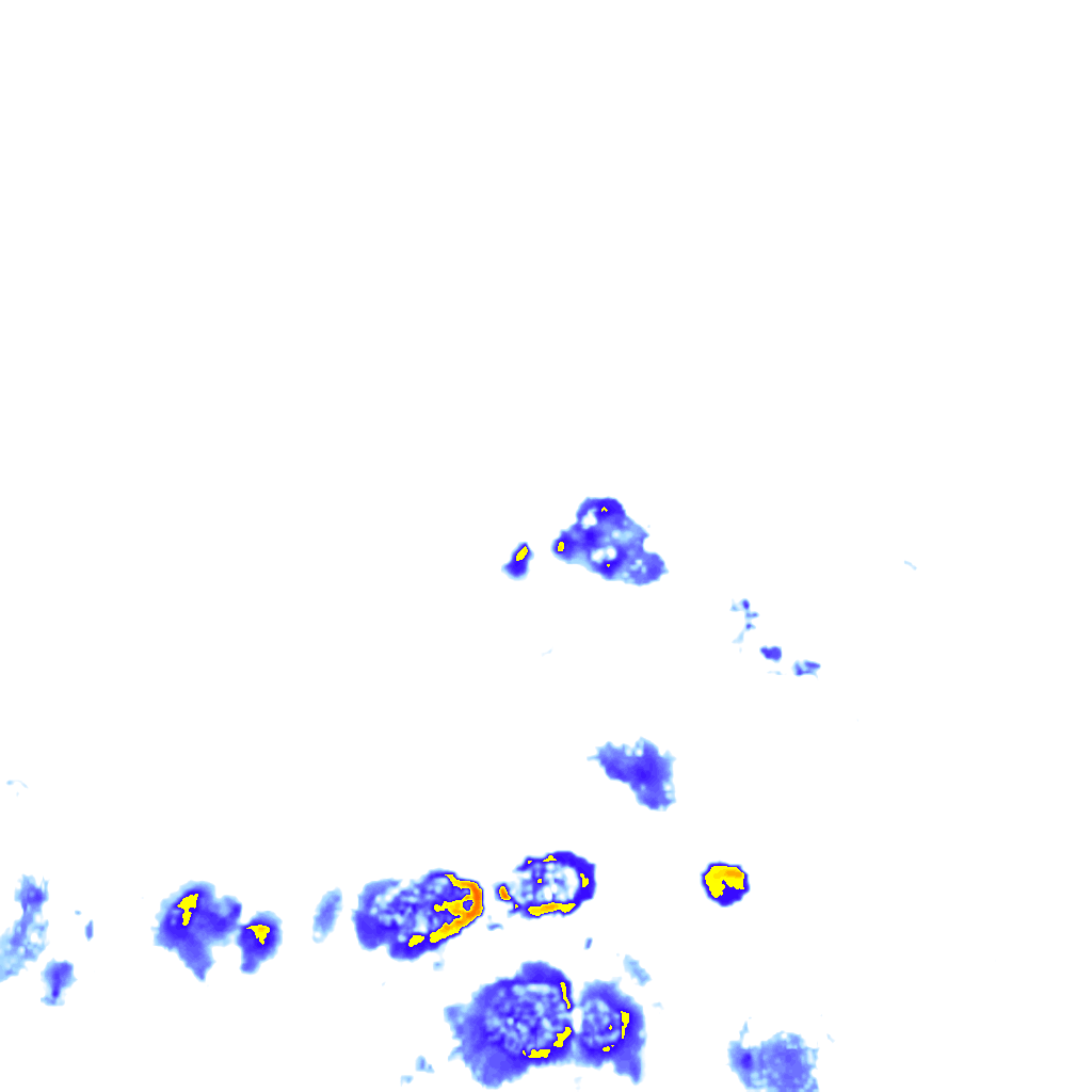 rainLayer