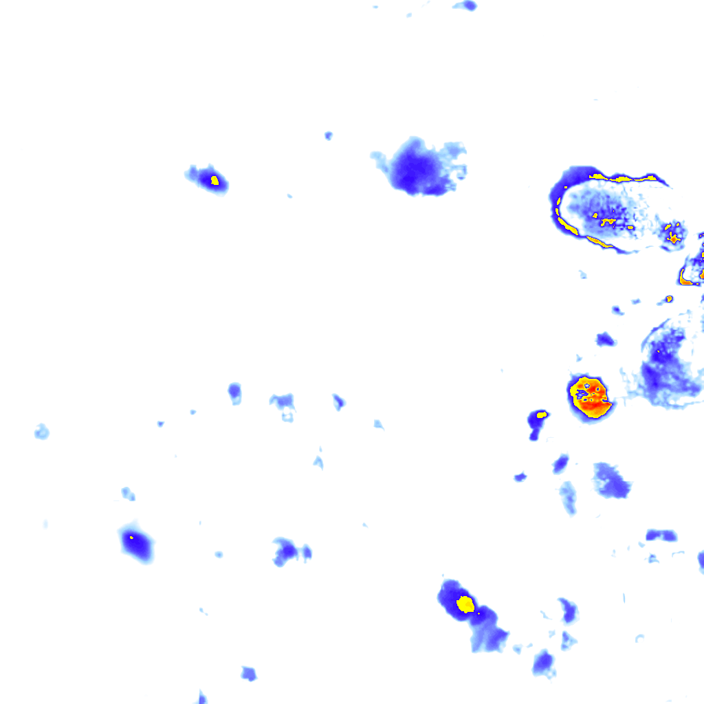 Image Layer