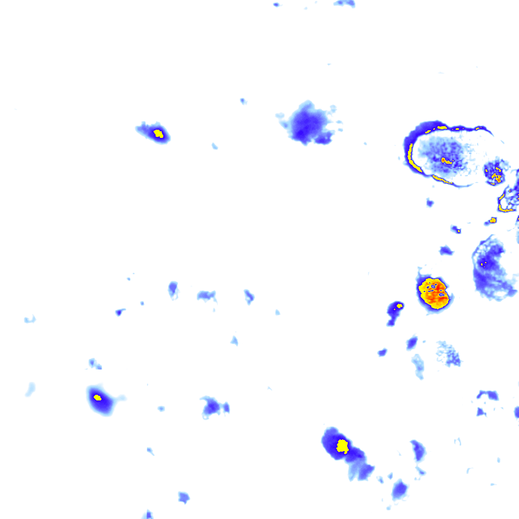 Image Layer
