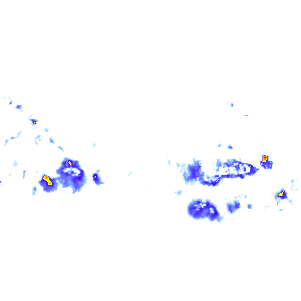rainLayer