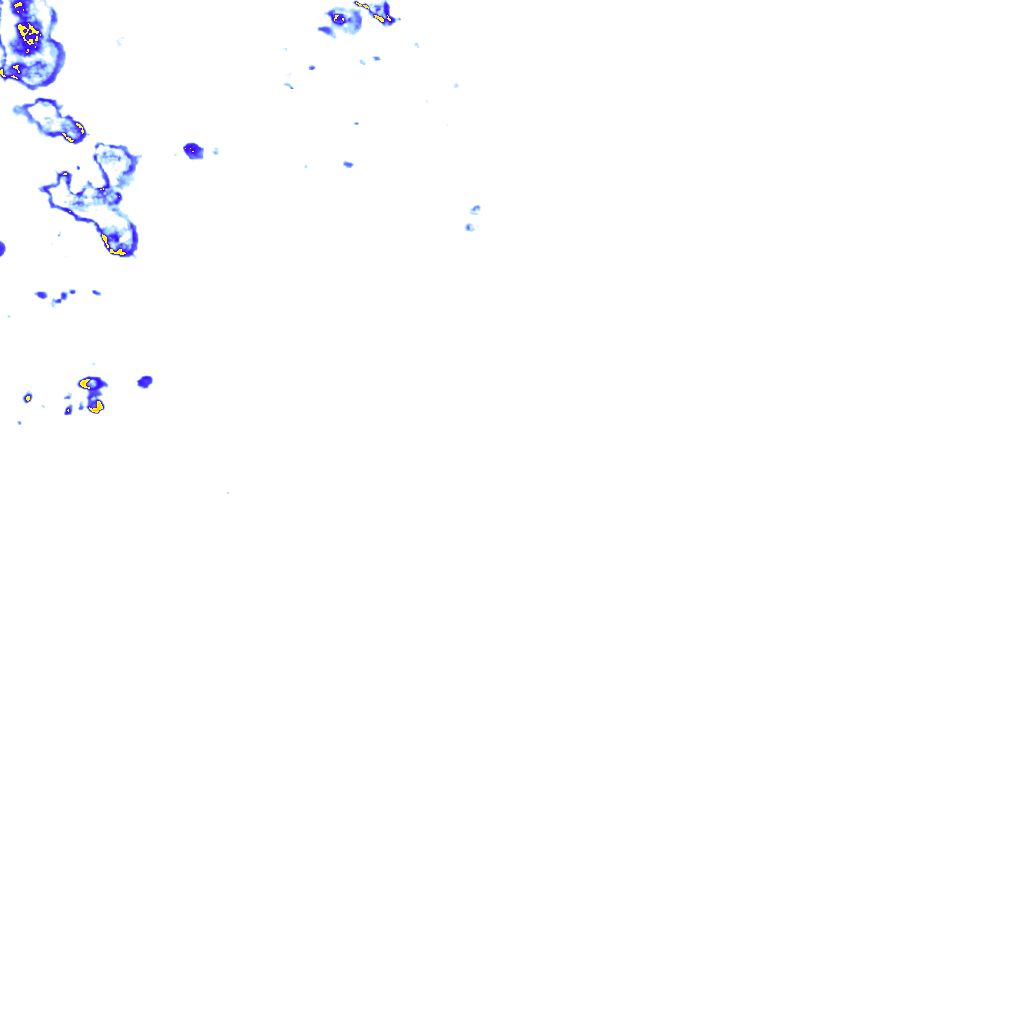 rainLayer