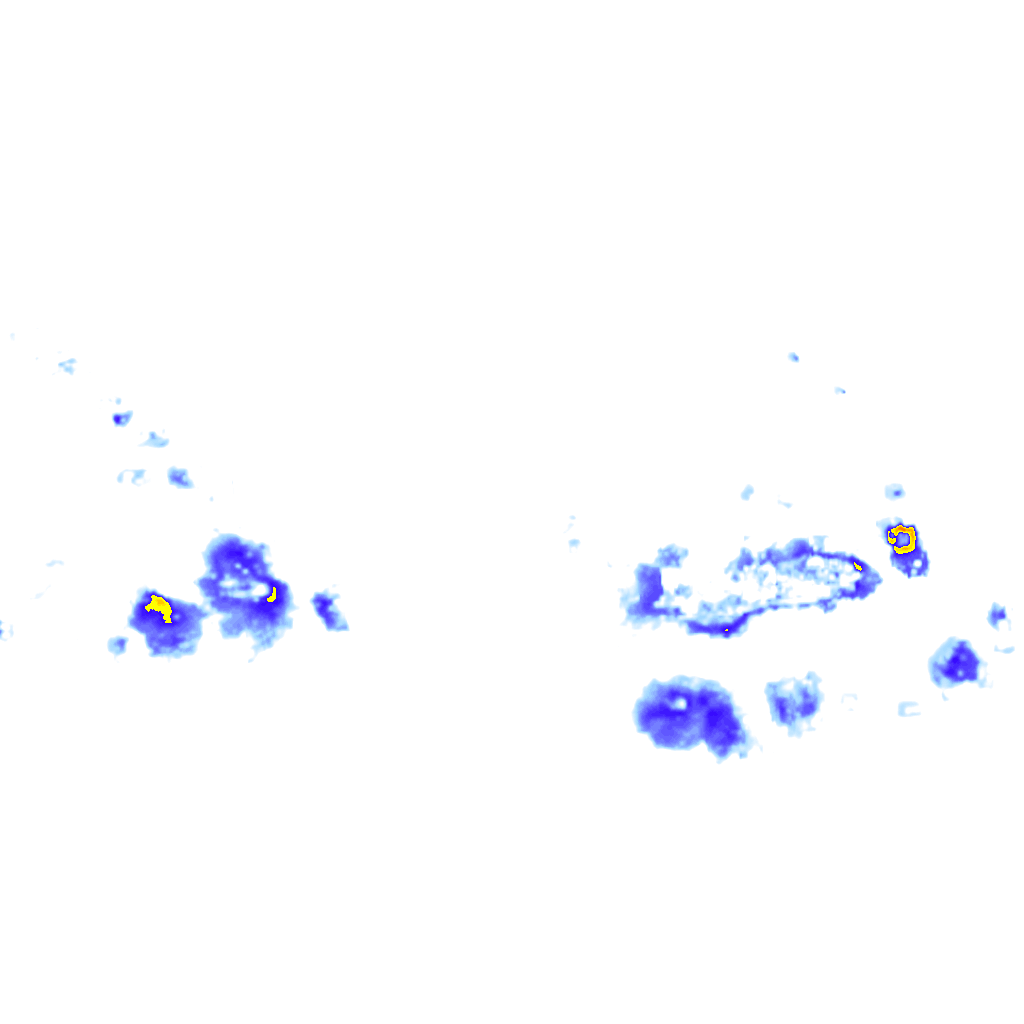 Image Layer