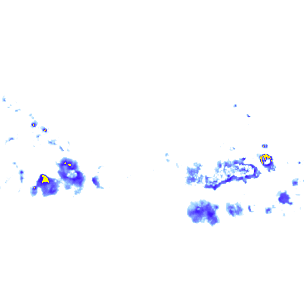 rainLayer