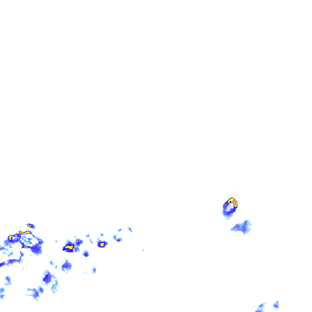 rainLayer