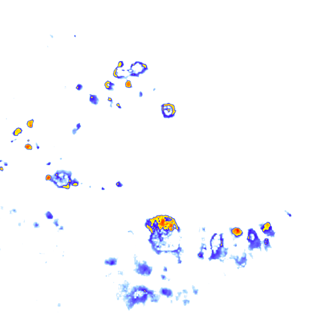 rainLayer