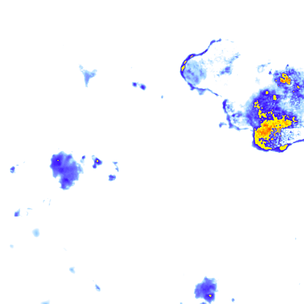 rainLayer
