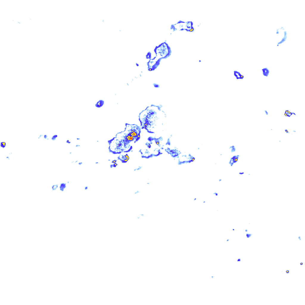 Image Layer