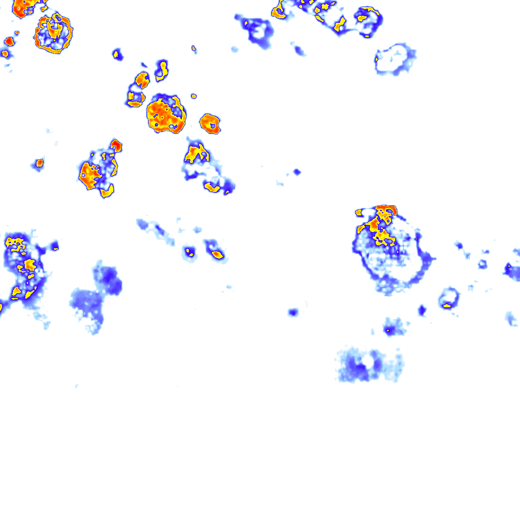 Image Layer