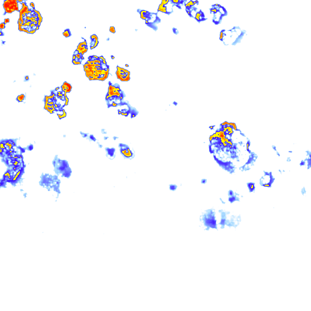 Image Layer