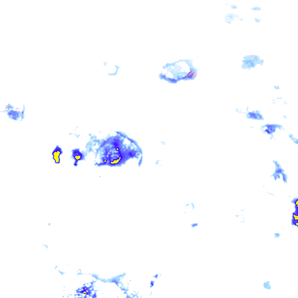 rainLayer