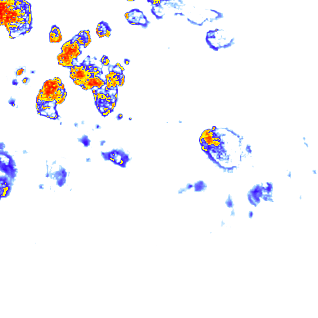 Image Layer