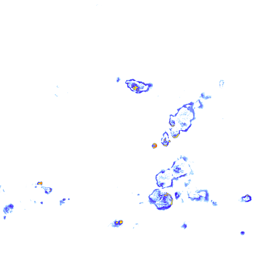 rainLayer