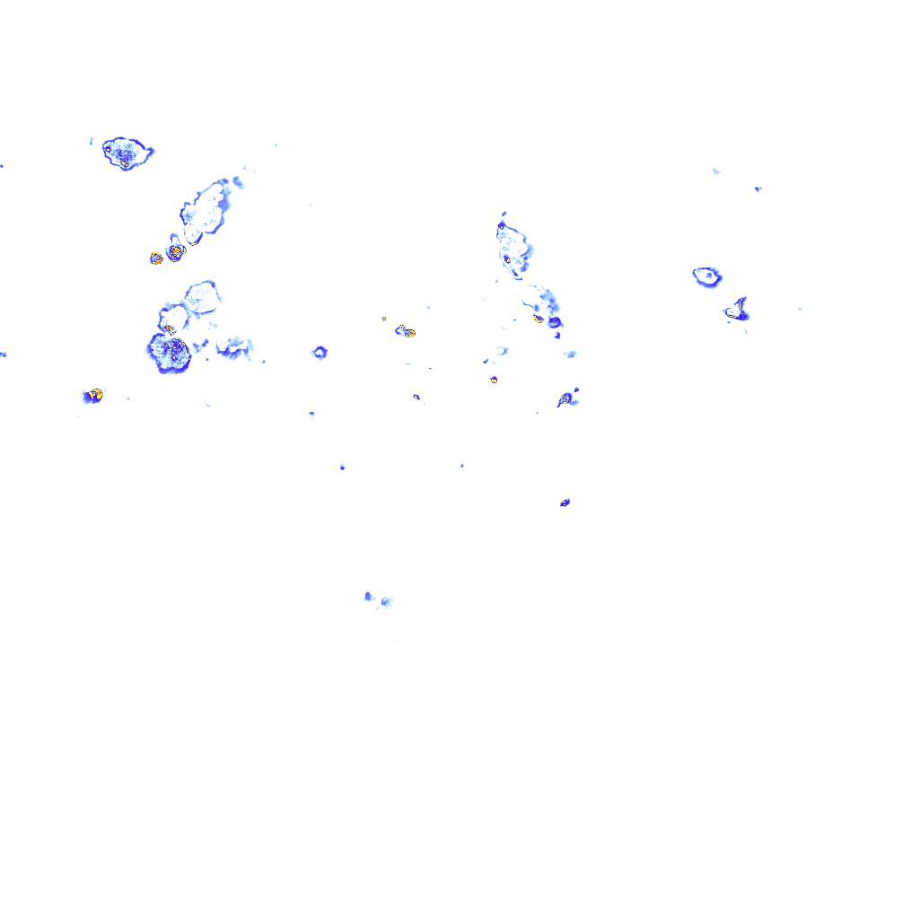 rainLayer