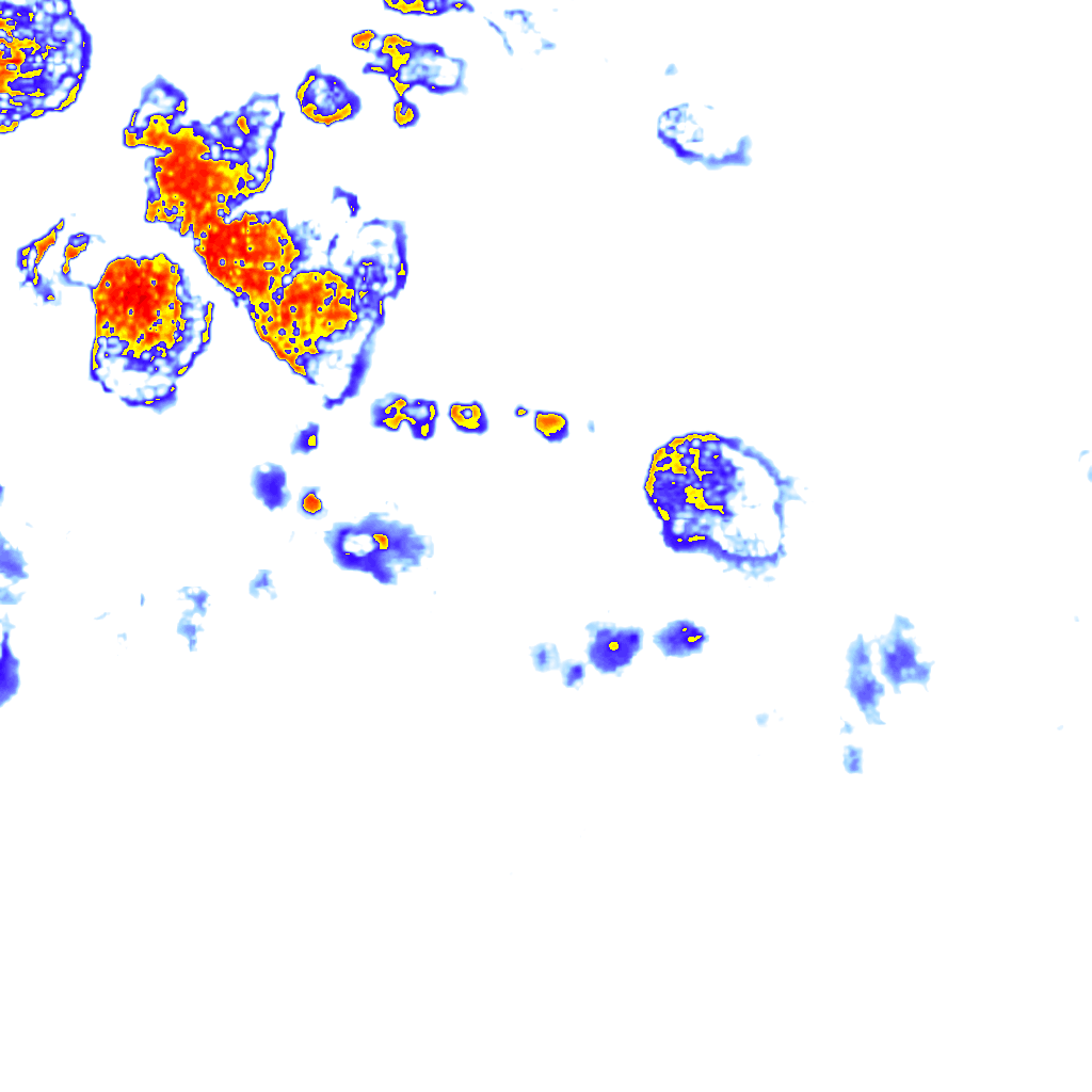 rainLayer