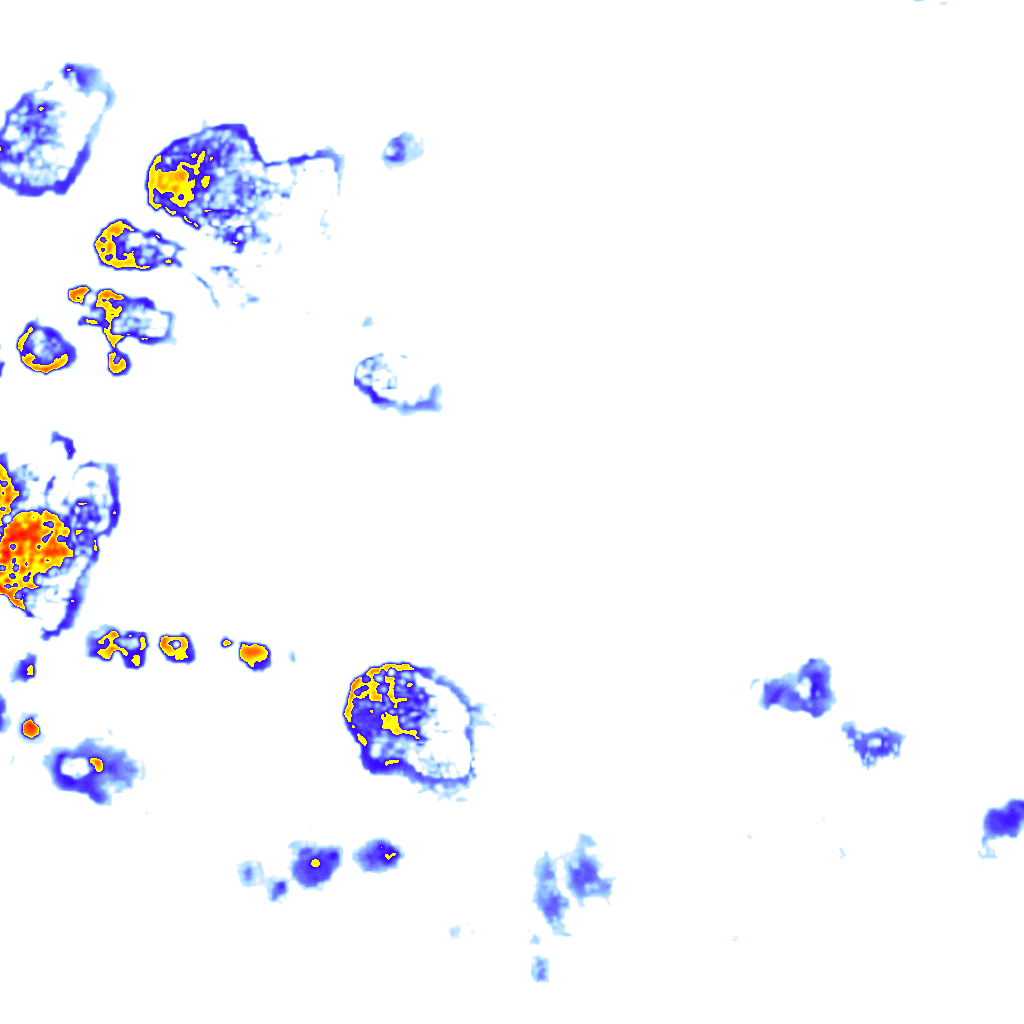 Image Layer