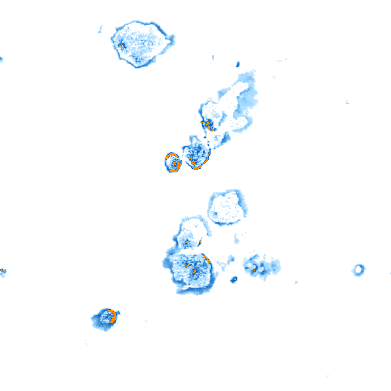 rain layer