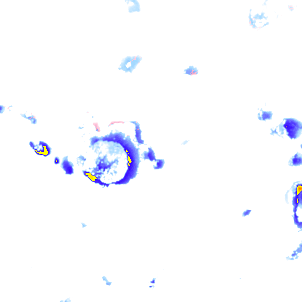 rainLayer
