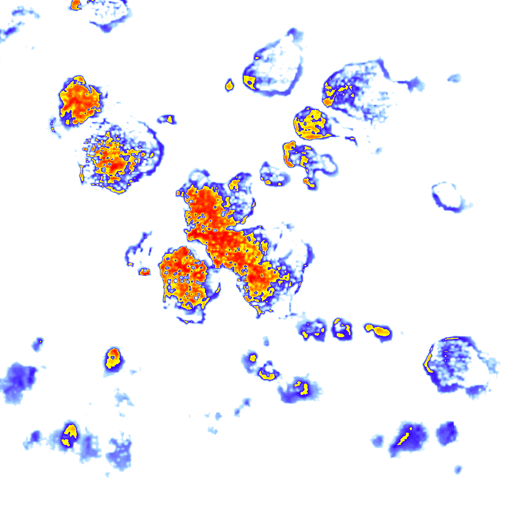 Image Layer
