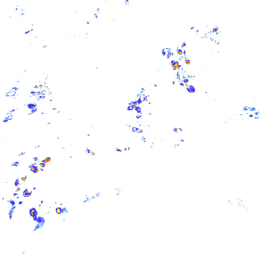 rainLayer