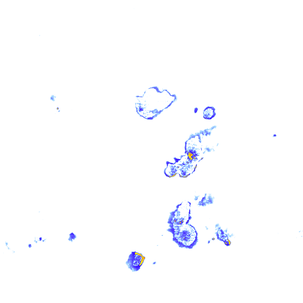 rainLayer
