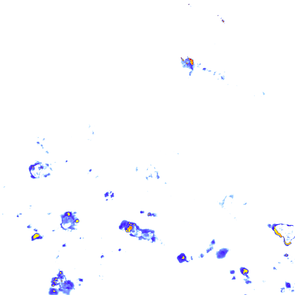 rainLayer
