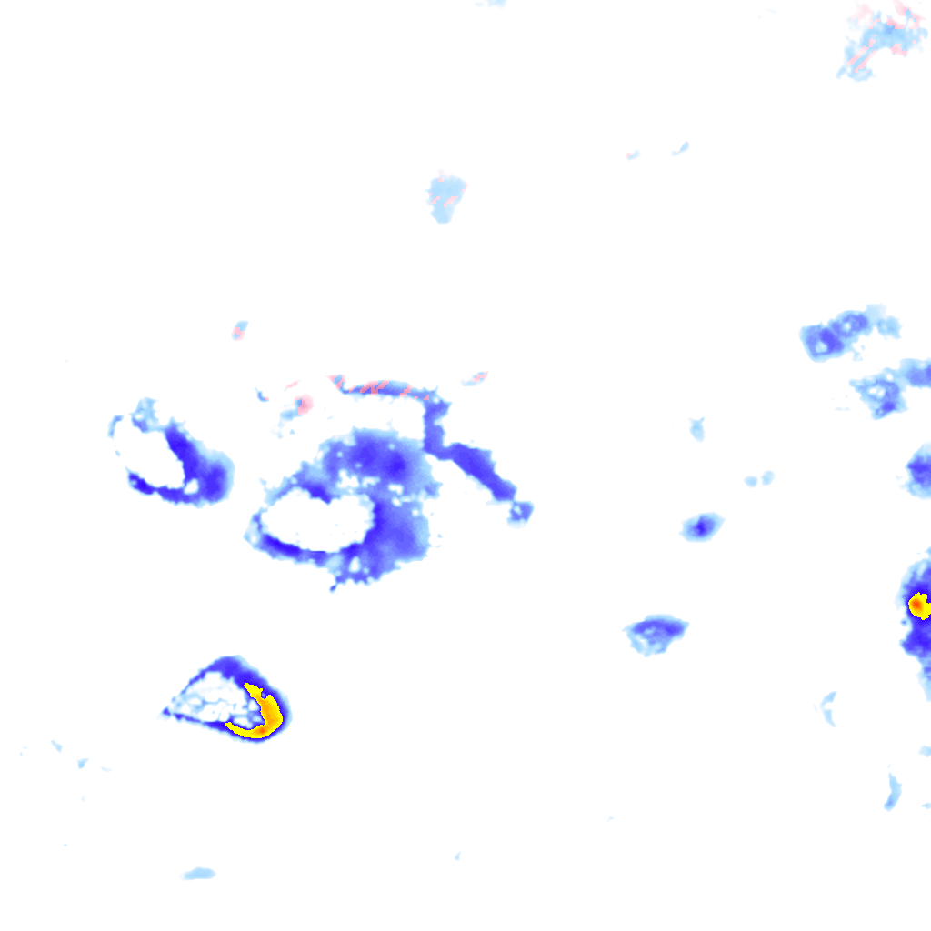 rainLayer