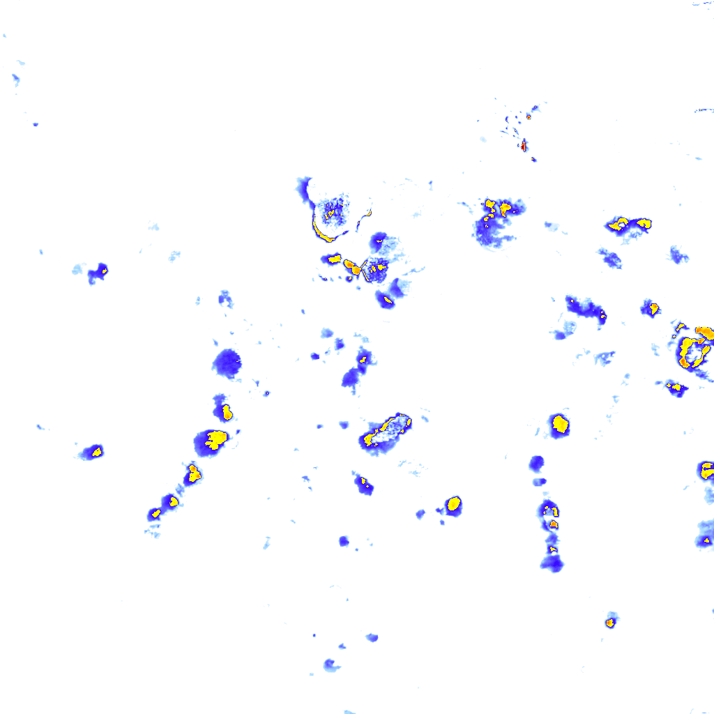 rainLayer