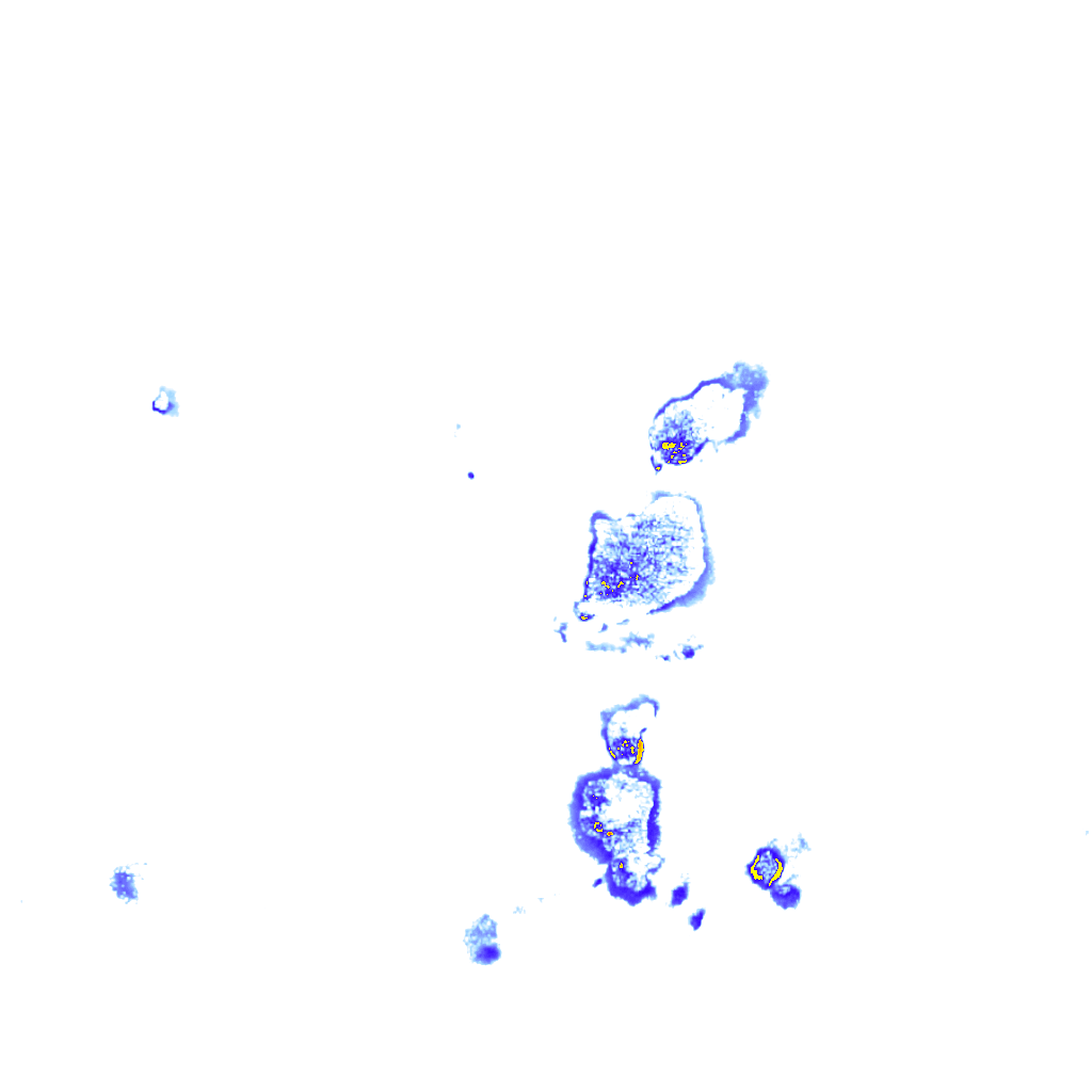 rainLayer