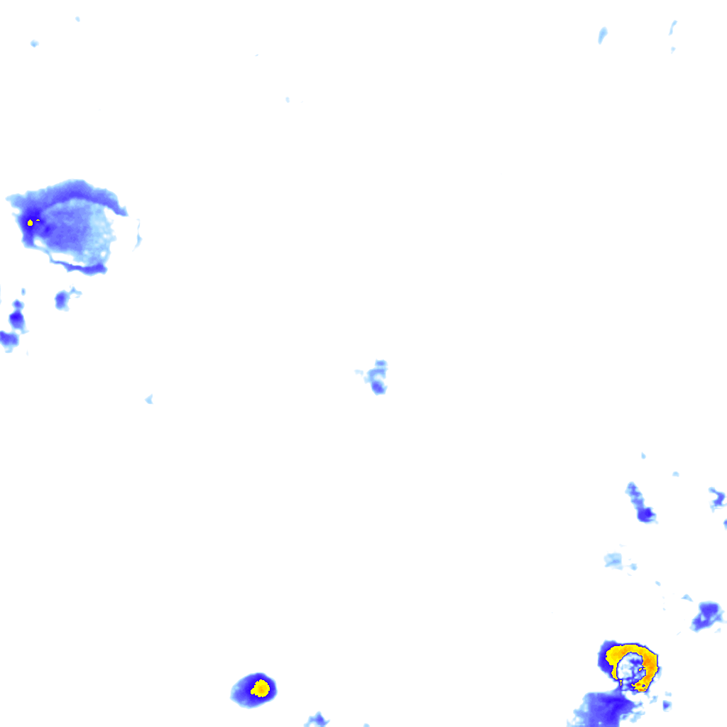 rainLayer