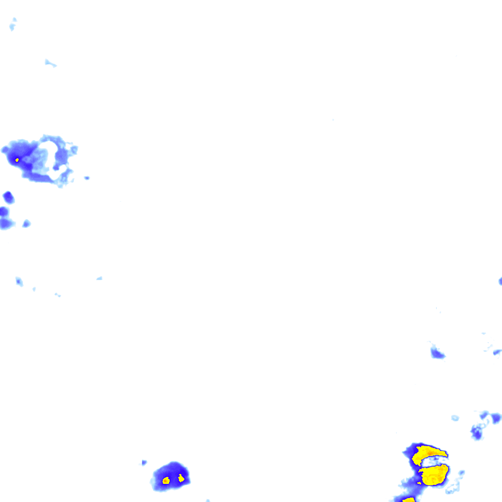 rainLayer